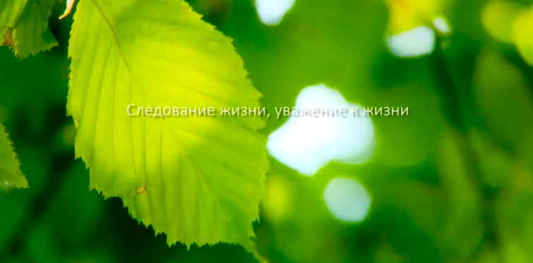 k8凯发官网集团形象片（русский）