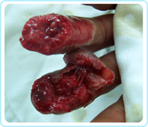 k8凯发官网(中国)天生赢家·一触即发