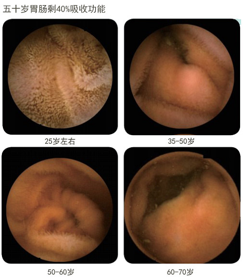 k8凯发官网(中国)天生赢家·一触即发