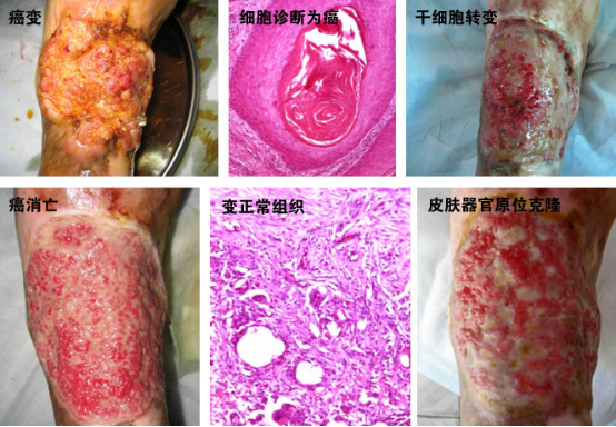 k8凯发官网(中国)天生赢家·一触即发