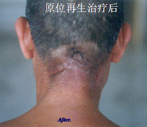 k8凯发官网(中国)天生赢家·一触即发