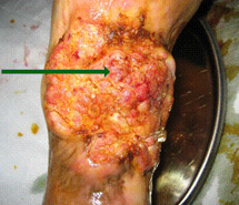 k8凯发官网(中国)天生赢家·一触即发