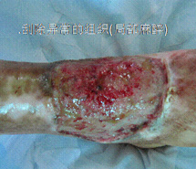 k8凯发官网(中国)天生赢家·一触即发