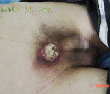 k8凯发官网(中国)天生赢家·一触即发