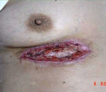 k8凯发官网(中国)天生赢家·一触即发