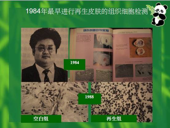 k8凯发官网(中国)天生赢家·一触即发