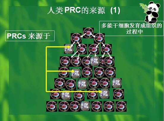 k8凯发官网(中国)天生赢家·一触即发