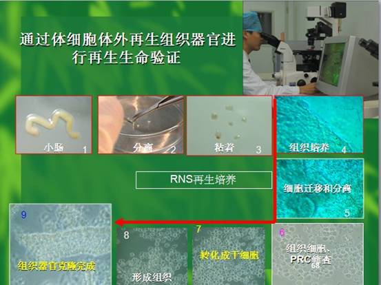 k8凯发官网(中国)天生赢家·一触即发
