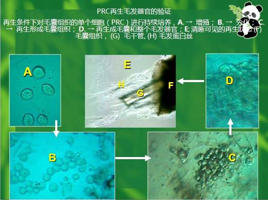 k8凯发官网(中国)天生赢家·一触即发
