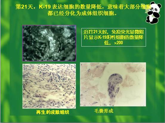 k8凯发官网(中国)天生赢家·一触即发