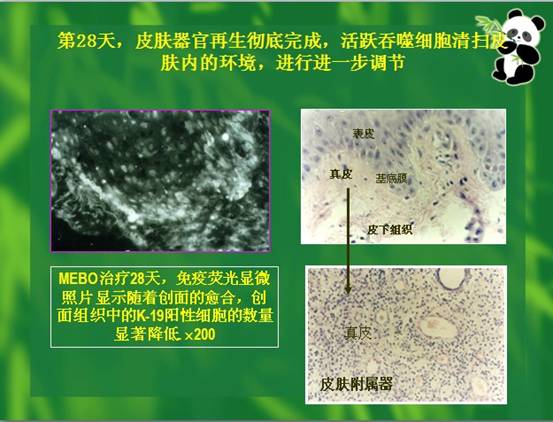 k8凯发官网(中国)天生赢家·一触即发