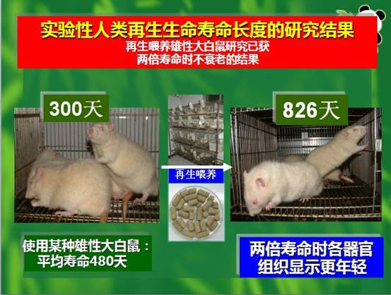 k8凯发官网(中国)天生赢家·一触即发