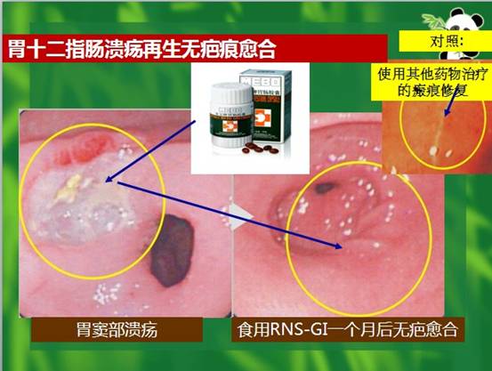 k8凯发官网(中国)天生赢家·一触即发