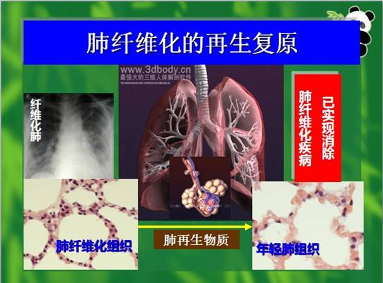 k8凯发官网(中国)天生赢家·一触即发