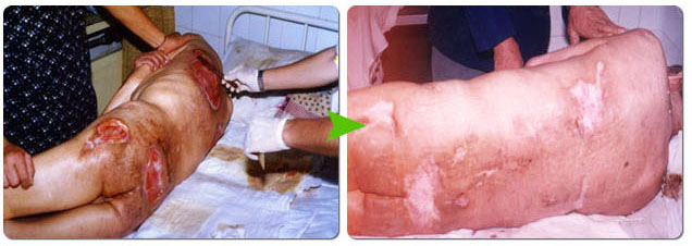 k8凯发官网(中国)天生赢家·一触即发