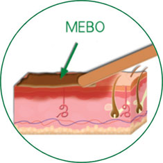 k8凯发官网(中国)天生赢家·一触即发