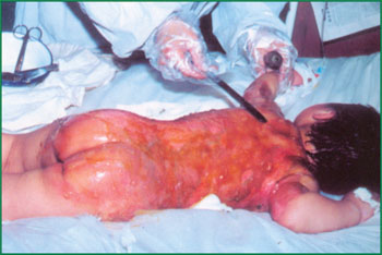 k8凯发官网(中国)天生赢家·一触即发