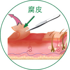 k8凯发官网(中国)天生赢家·一触即发