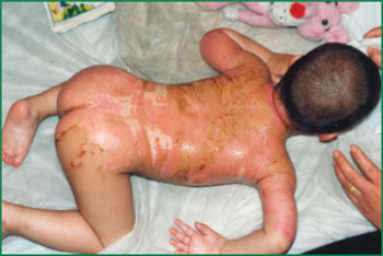 k8凯发官网(中国)天生赢家·一触即发