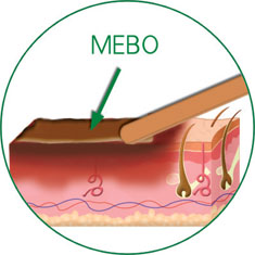 k8凯发官网(中国)天生赢家·一触即发