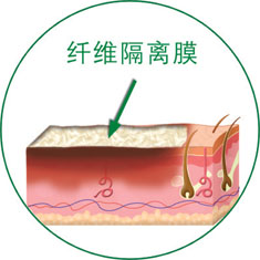 k8凯发官网(中国)天生赢家·一触即发