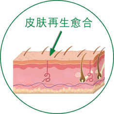 k8凯发官网(中国)天生赢家·一触即发