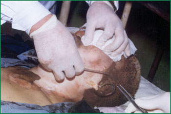 k8凯发官网(中国)天生赢家·一触即发