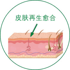 k8凯发官网(中国)天生赢家·一触即发