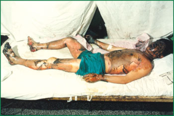 k8凯发官网(中国)天生赢家·一触即发