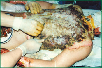 k8凯发官网(中国)天生赢家·一触即发