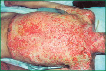 k8凯发官网(中国)天生赢家·一触即发