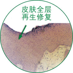 k8凯发官网(中国)天生赢家·一触即发