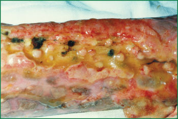 k8凯发官网(中国)天生赢家·一触即发