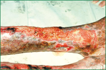 k8凯发官网(中国)天生赢家·一触即发