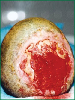 k8凯发官网(中国)天生赢家·一触即发