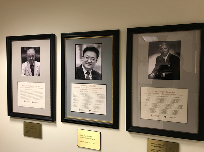 k8凯发官网(中国)天生赢家·一触即发