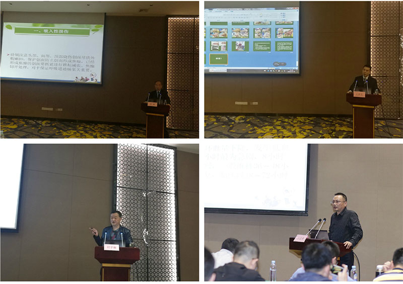 k8凯发官网(中国)天生赢家·一触即发