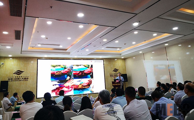 k8凯发官网(中国)天生赢家·一触即发