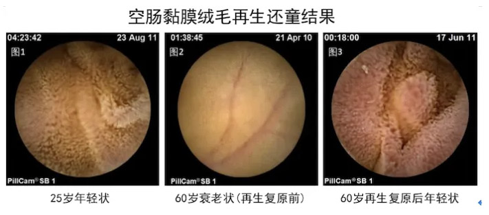 k8凯发官网(中国)天生赢家·一触即发