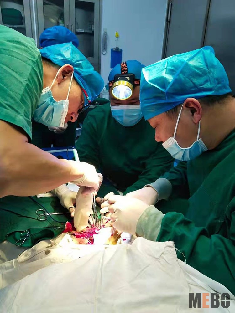 k8凯发官网(中国)天生赢家·一触即发