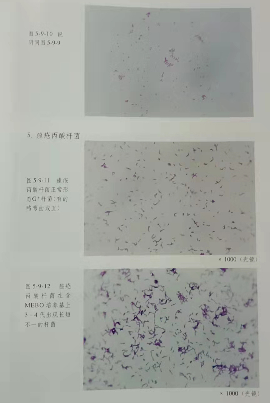 k8凯发官网(中国)天生赢家·一触即发