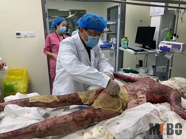 k8凯发官网(中国)天生赢家·一触即发