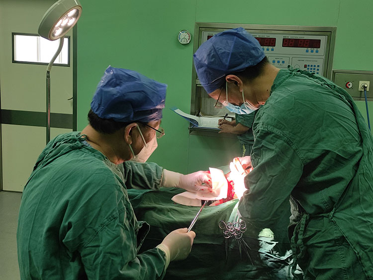 k8凯发官网(中国)天生赢家·一触即发