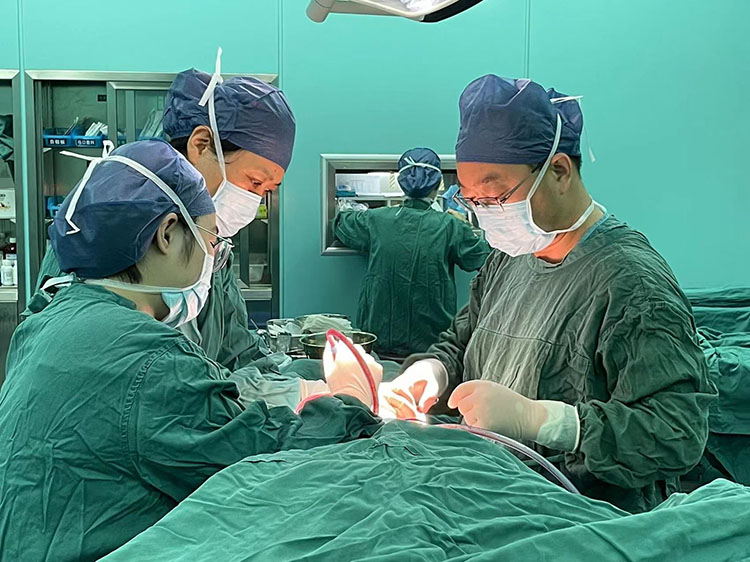 k8凯发官网(中国)天生赢家·一触即发