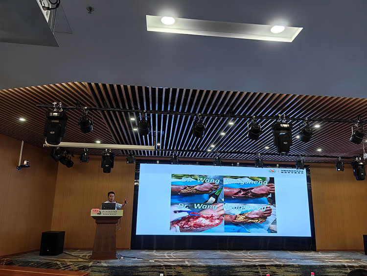 k8凯发官网(中国)天生赢家·一触即发