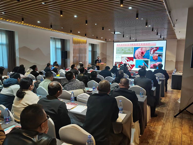 k8凯发官网(中国)天生赢家·一触即发