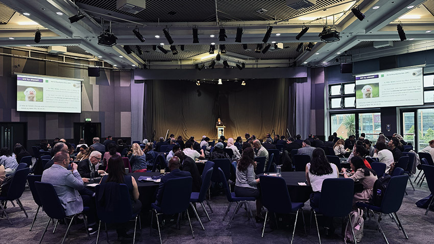 k8凯发官网(中国)天生赢家·一触即发