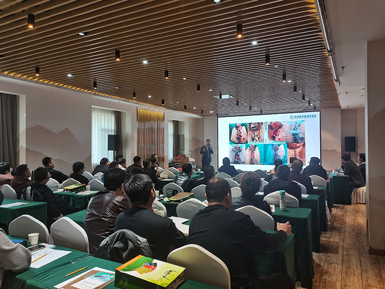 k8凯发官网(中国)天生赢家·一触即发