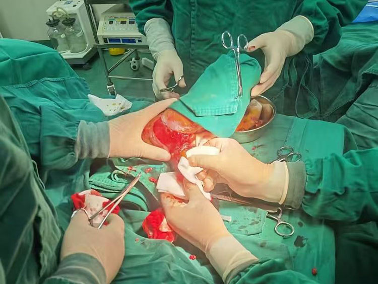 k8凯发官网(中国)天生赢家·一触即发