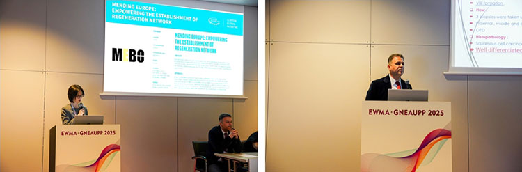 k8凯发官网(中国)天生赢家·一触即发